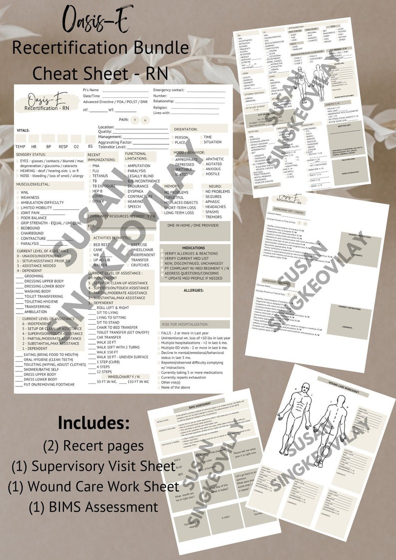 2023 OASIS-E Recertification Cheat Sheet BUNDLE RN image 1