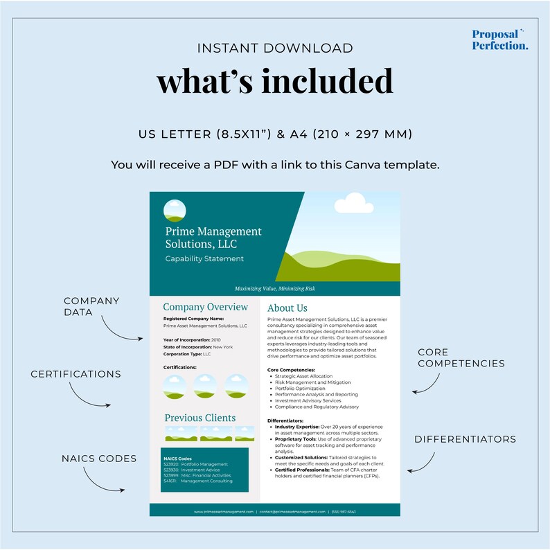 Consulting Capability Statement Template | Professional, Customizable ...