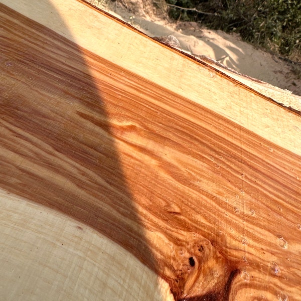 Hickory Live Edge Slab Etsy