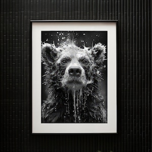 Black Bear B&W Cute Portrait in Steamy Soapy Shower Tub Wall Art | Black Bear Photo Art | Bathroom Art Print | Physical Art Print