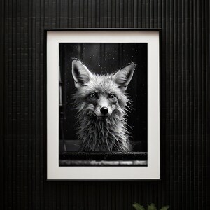 Red Fox B&W Cute Portrait in Steamy Shower Tub Wall Art | Fox Photo | Fox Art | Bathroom Art Print | Physical Art Print