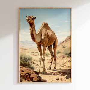 Camel in the Desert Portrait Vintage Color Art Print | Mid Century Modern Style African Wilderness Poster