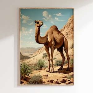 Calm Camel in Rocky Desert Portrait Vintage Color Art Print | Mid Century Modern Style African Wilderness Poster