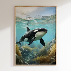 Orca orca sumergida retrato submarino vintage color arte impresión / mediados de siglo estilo moderno náutico oceánico marino cartel de vida silvestre