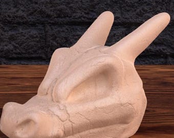 Charizard Skull | MAPLE 3D | PRINTS