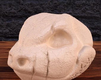 Blastoise Skull | MAPLE 3D | PRINTS