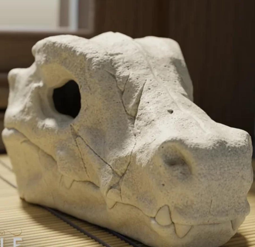 Agumon Skull | 3D Prints | Halloween - Etsy