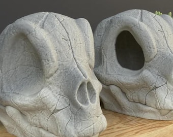 Charmander Skull | MAPLE 3D | PRINTS