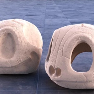 Schiggy SKULL AHORN 3D | DRUCKE
