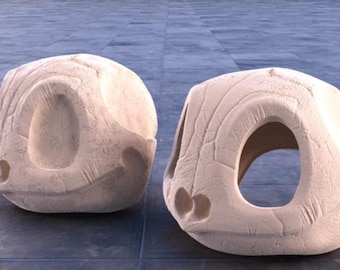 Squirtle SKULL MAPLE 3D | PRINTS