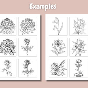 Pu&ograve; includere: Un foglio di carta con nove disegni in bianco e nero di diversi fiori. I fiori includono un bucaneve, un giglio, una rosa e un rododendro.