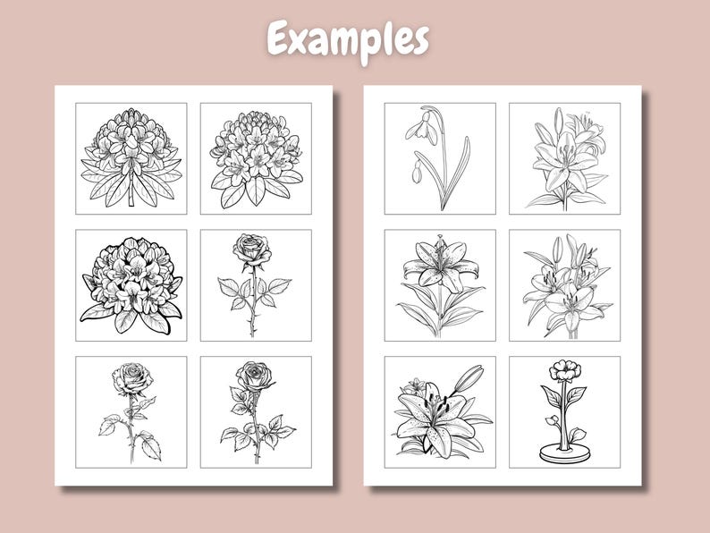 Pu&ograve; includere: Un foglio di carta con nove disegni in bianco e nero di diversi fiori. I fiori includono un bucaneve, un giglio, una rosa e un rododendro.