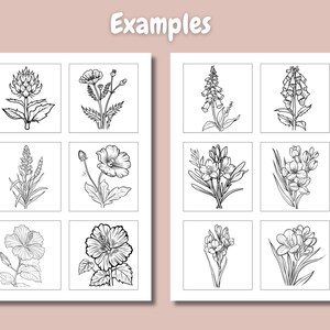 May include: A sheet of paper with nine black and white line drawings of different flowers. The flowers are arranged in a grid pattern. The title "Examples" is at the top of the page.