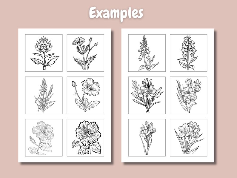 May include: A sheet of paper with nine black and white line drawings of different flowers. The flowers are arranged in a grid pattern. The title "Examples" is at the top of the page.