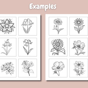 May include: A sheet of paper with nine black and white line drawings of different flowers. The flowers include a sunflower, a daisy, a bellflower, a cosmos, and a bougainvillea.