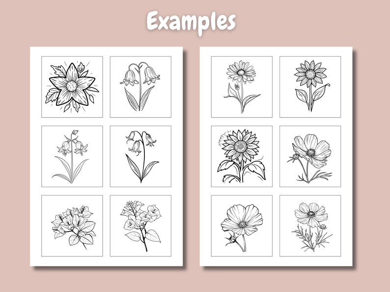 May include: A sheet of paper with nine black and white line drawings of different flowers. The flowers include a sunflower, a daisy, a bellflower, a cosmos, and a bougainvillea.