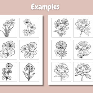 Pu&ograve; includere: Nove disegni in bianco e nero di diversi fiori. I fiori includono narcisi, violette e peonie.