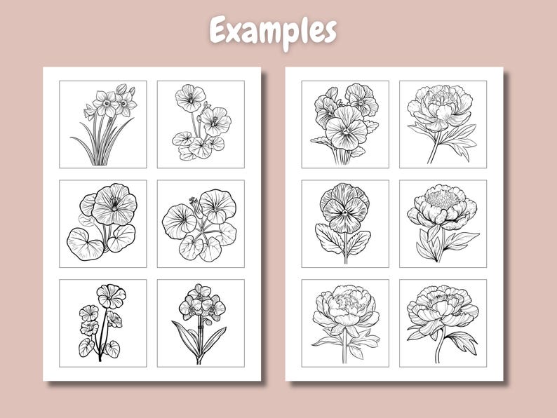 Pu&ograve; includere: Nove disegni in bianco e nero di diversi fiori. I fiori includono narcisi, violette e peonie.