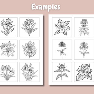 May include: Nine black and white line drawings of different flowers. The flowers are arranged in a grid of three rows and three columns. The flowers are all in bloom and have different shapes and sizes.