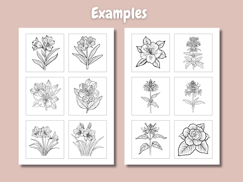 May include: Nine black and white line drawings of different flowers. The flowers are arranged in a grid of three rows and three columns. The flowers are all in bloom and have different shapes and sizes.