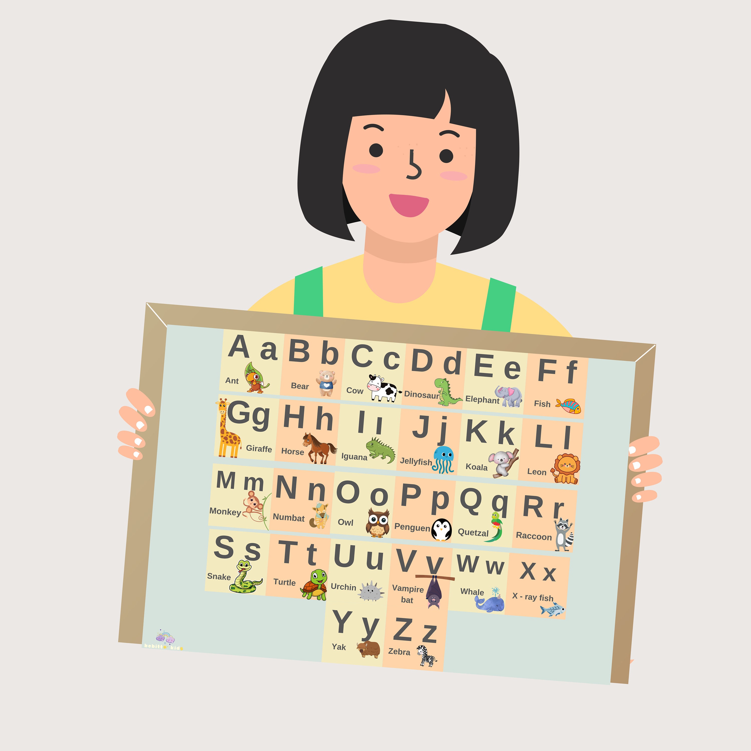 Alphabet Flash Cards /life Cycle of a Duck Learn and Play Etsy UK