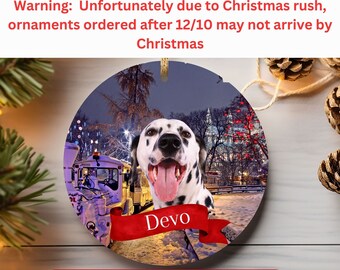 Personalized Dalmatian Ceramic Ornament,Custom Dog Photo Ornament,,Dog Lover Fall Circular Ornament,Dog Mom Christmas Tree Decoration