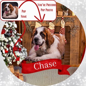 May include: A Saint Bernard dog named Chase lies in front of a fireplace and Christmas tree. The dog is white and brown with its tongue out. A red banner with the name "Chase" is at the bottom. The image includes the text "You're Precious Pup Photo".