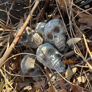 May include: A group of four gray concrete skull figurines are scattered amongst brown twigs and leaves. The skulls are weathered and have a rough texture.