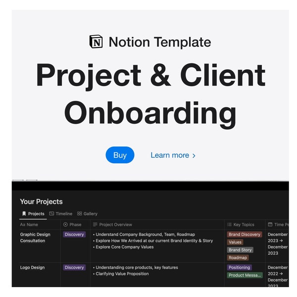 Client Dashboard Notion Template Etsy