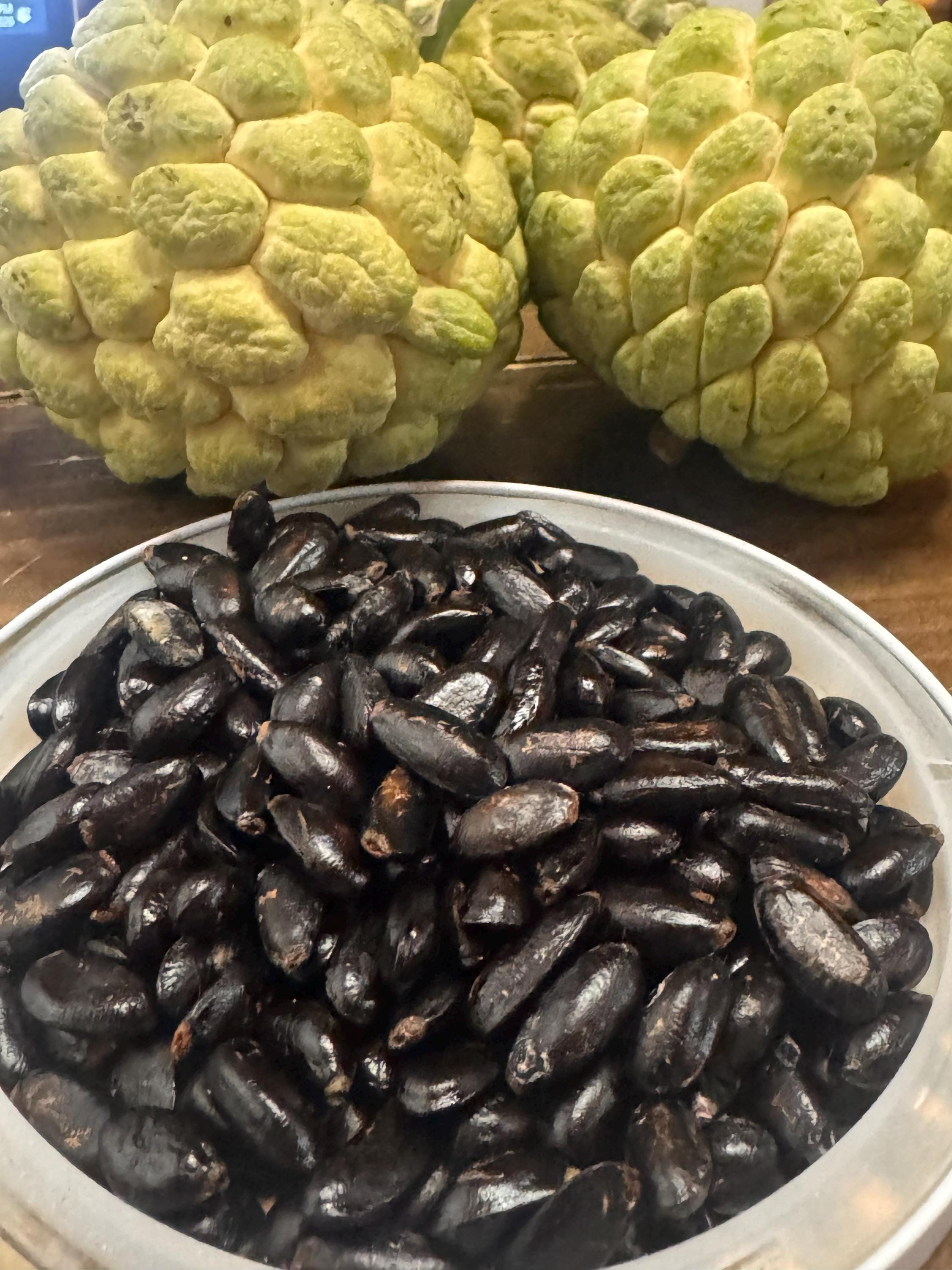 Sugar Apple Seeds Tropical Fruit Tree Seeds Annona Squamosa Seeds Exotic Garden Seeds