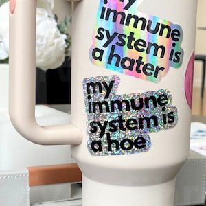 Funny Chronic Illness Stickers Autoimmune Lupus My Immune System Is A Hater Hoe Multiple Sclerosis Decals Gift Spoonie Rheumatoid Arthritis