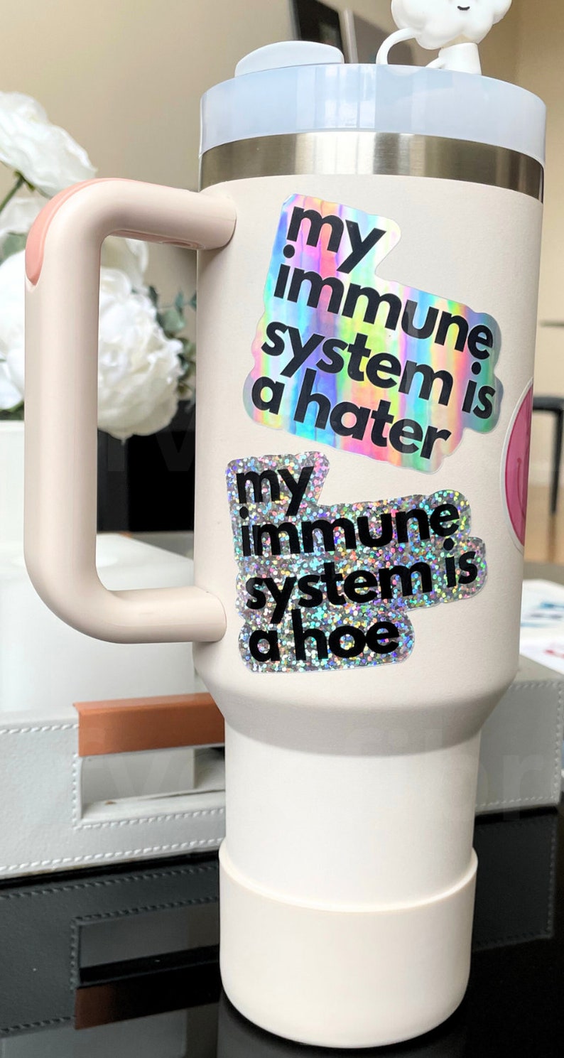 Funny Chronic Illness Stickers Autoimmune Lupus My Immune System Is A Hater Hoe Multiple Sclerosis Decals Gift Spoonie Rheumatoid Arthritis