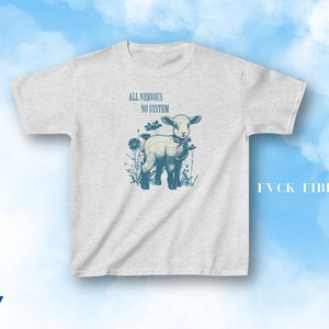 May include: Ash-colored t-shirt featuring a vintage illustration of a lamb with the text "ALL NERVOUS NO SYSTEM." The lamb is surrounded by flowers and wears a pink bow. The text "FVCK FIBRO" is also visible.