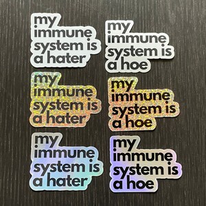 Funny Chronic Illness Stickers Autoimmune Lupus My Immune System Is A Hater Hoe Multiple Sclerosis Decals Gift Spoonie Rheumatoid Arthritis
