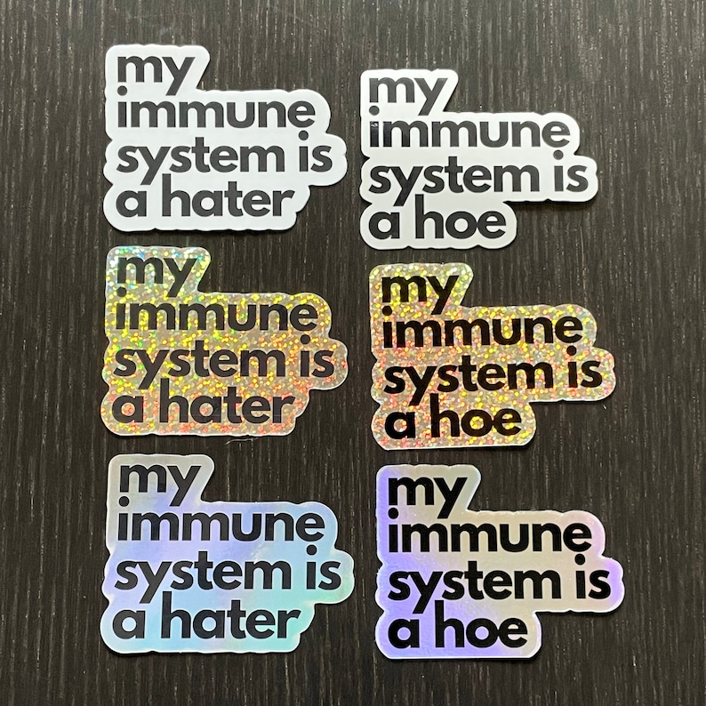 Funny Chronic Illness Stickers Autoimmune Lupus My Immune System Is A Hater Hoe Multiple Sclerosis Decals Gift Spoonie Rheumatoid Arthritis