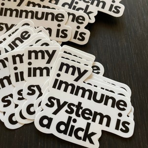 Funny Chronic Illness Stickers Autoimmune Lupus My Immune System Is A Hater Hoe Multiple Sclerosis Decals Gift Spoonie Rheumatoid Arthritis image 9