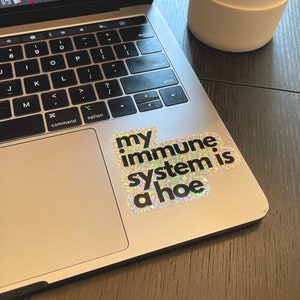 Funny Chronic Illness Stickers Autoimmune Lupus My Immune System Is A Hater Hoe Multiple Sclerosis Decals Gift Spoonie Rheumatoid Arthritis image 4