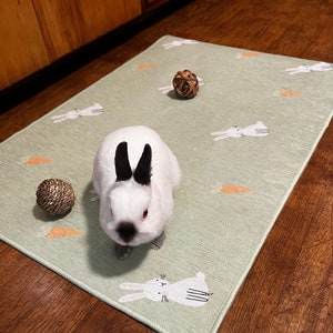 Washable Pet Playpen Floor Mat, Rug Playmat for Rabbits, Cats, Dogs. Premium Playpen Floor Mat for Rabbits, Soft and Safe Surface for Pets