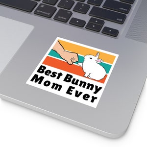 Best Bunny Mom Sticker, Rabbit Lover Gift, bunny sticker, bunny mom gift, bunny stickers vinyl, cute vinyl bunny stickers, Outdoor decal