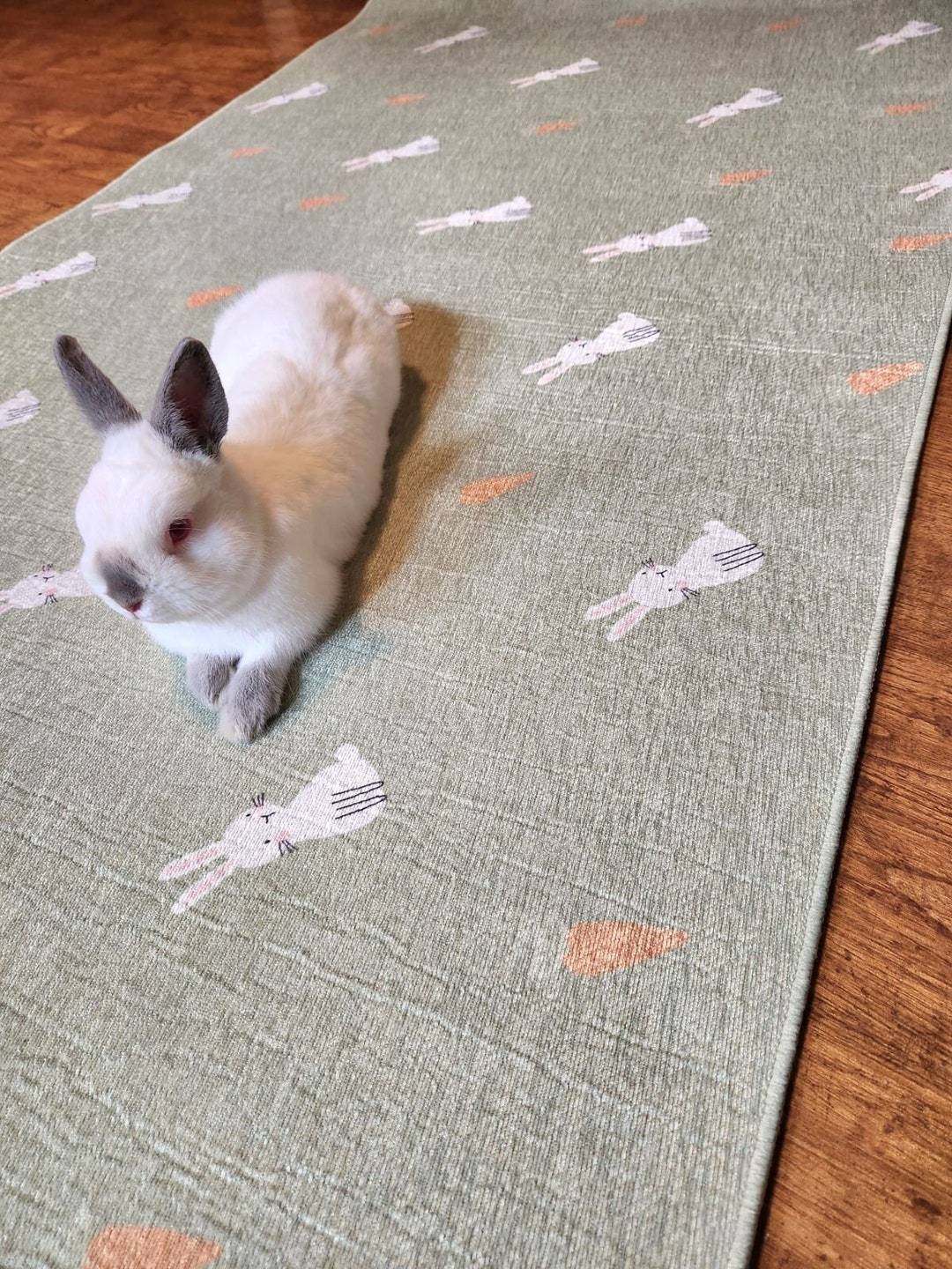 Nonslip Pet Playpen Floor Mat, Rug Playmat for Rabbits, Cats, Dogs. Premium Playpen Floor Mat