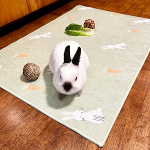 Washable Pet Playpen Floor Mat, Rug Playmat for Rabbits, Cats, Dogs. Premium Playpen Floor Mat for Rabbits - Soft and Safe Surface