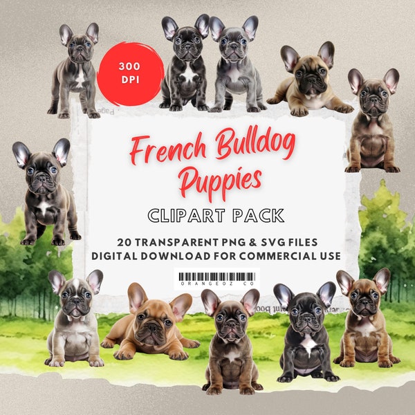 French Bulldog Puppy Clipart Bundle. Dogs png. Puppy png. Pets Clipart Bundle. Cute dogs clipart. Digital Download