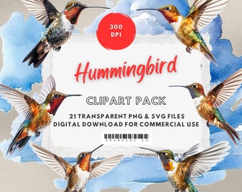 Hummingbird Clipart. Digital download. Transparent PNG & SVG. Nursery clipart. For commercial use.