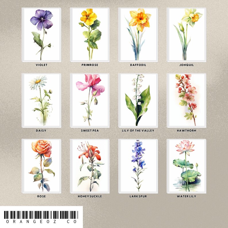 Birth Month Flowers Clipart Bundle. Watercolor Birth Flower. - Etsy