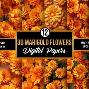 May include: Twelve digital papers featuring a close-up of vibrant orange marigold flowers. The papers are 3600 pixels by 3600 pixels, or 12 inches by 12 inches, and are high resolution JPGs at 300 DPI.