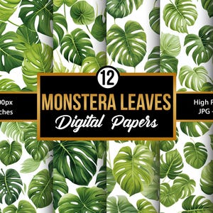 May include: Twelve digital papers featuring a seamless pattern of green monstera leaves on a white background. Each paper is 3600 pixels by 3600 pixels, or 12 inches by 12 inches.