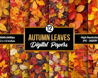 Autumn Leaves Digital Paper: Vibrant Fall Foliage Designs (Digital Download)