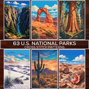 Puede incluir: Una colección de seis patrones de punto de cruz con parques nacionales de EE. UU., que incluyen un cañón con río, un arco de piedra natural, un árbol gigante, dunas blancas, un cactus del desierto al atardecer y madera petrificada, etiquetado 63 U.S. NATIONAL PARKS.