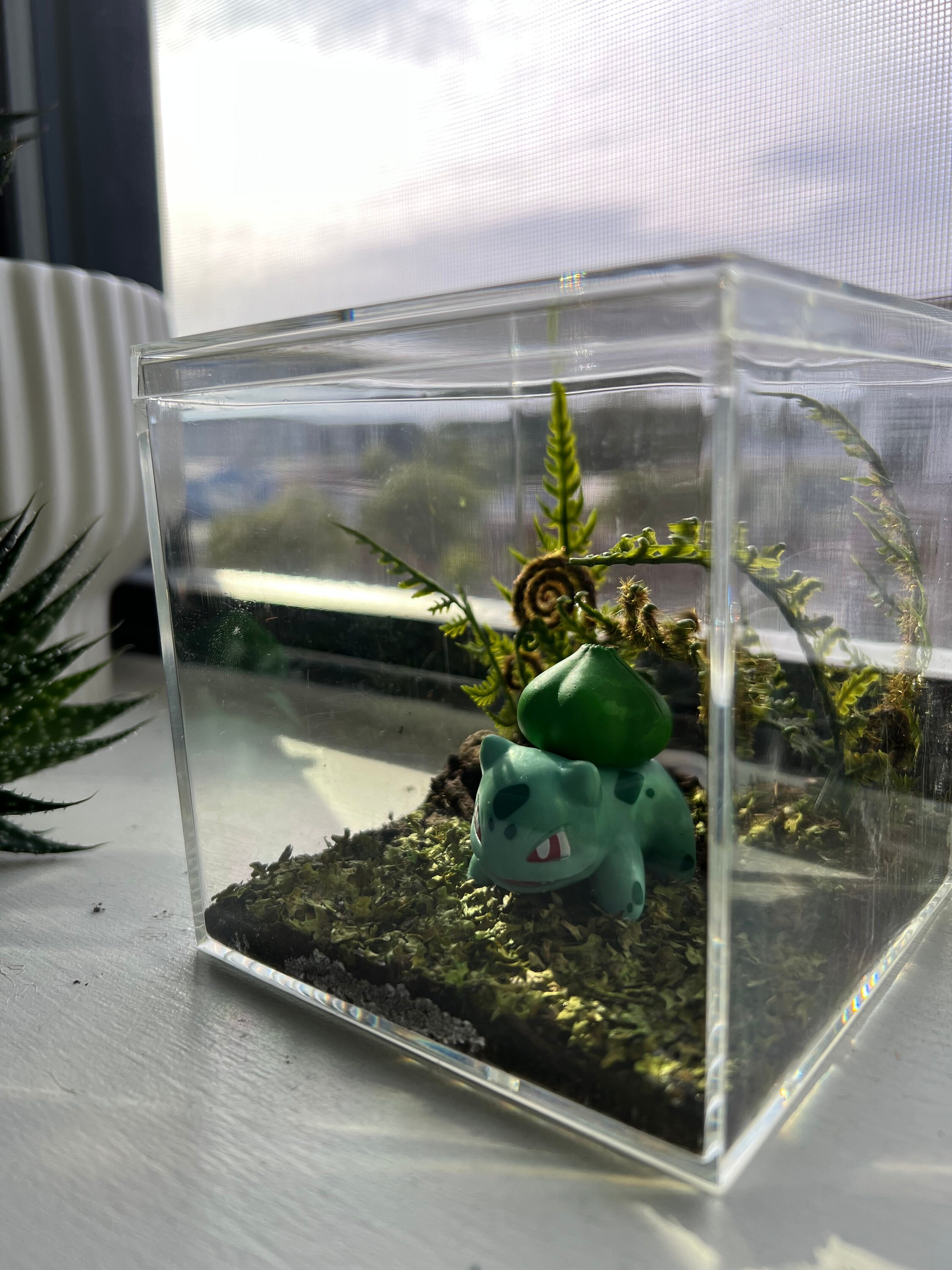 Pokemon Bulbasaur Terrarium Etsy