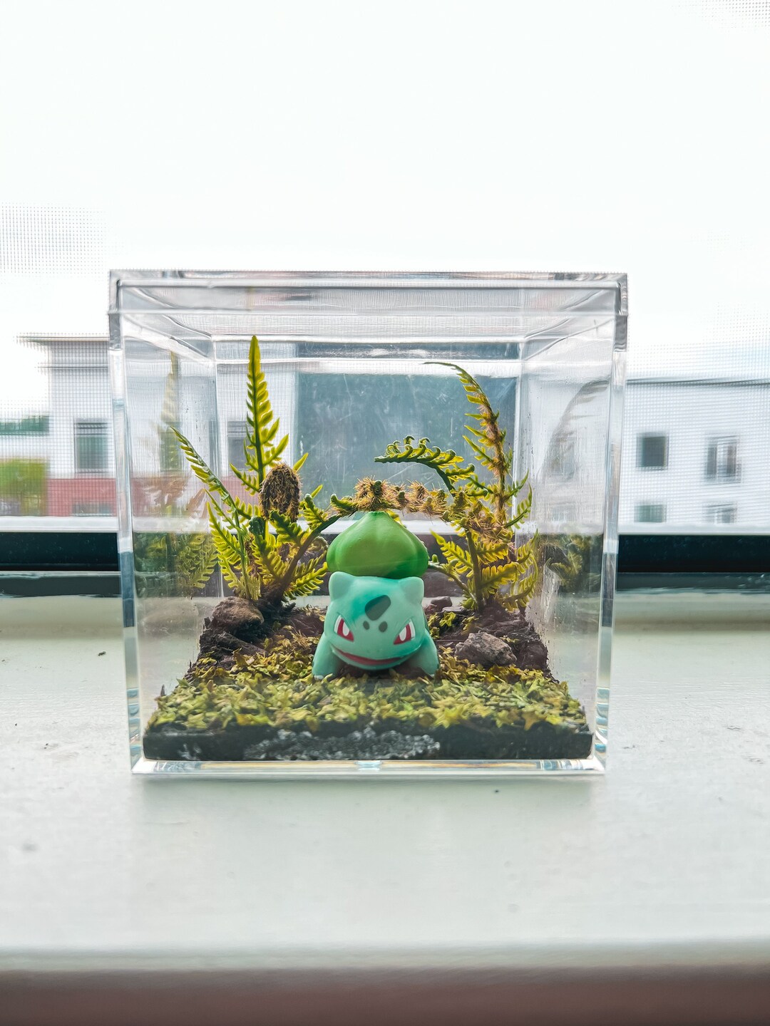 Pokemon Bulbasaur Terrarium Etsy